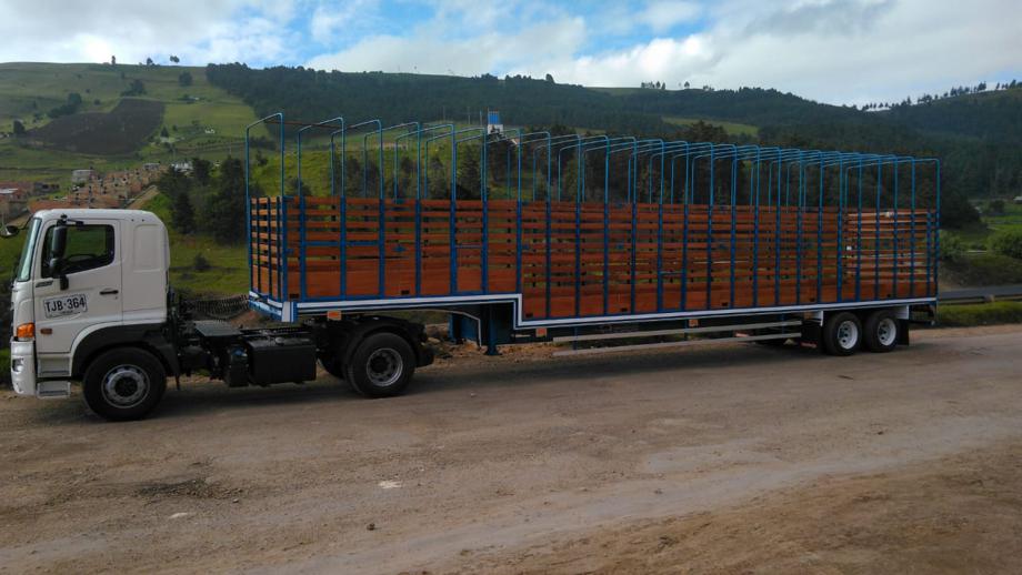 Transporte en Patineta de 2 ejes  en Manizales, Caldas, Colombia